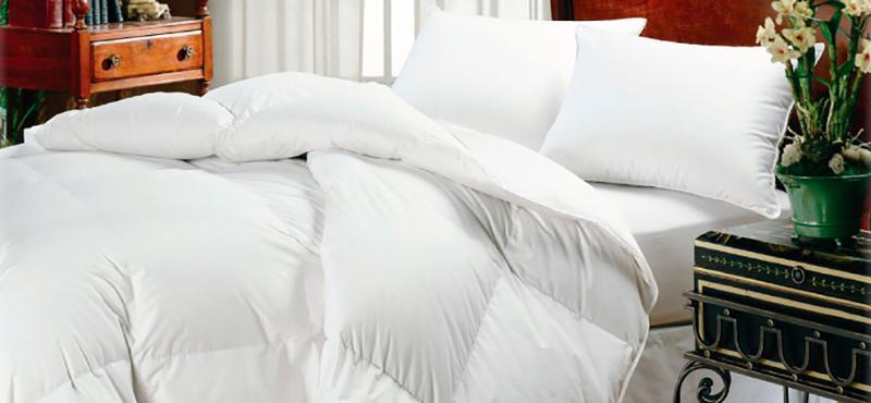 stock down comforters